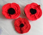 Large poppies